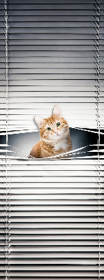 Store fenêtre intérieur chat roux
