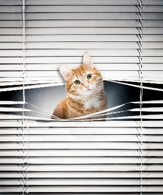 Store fenêtre intérieur chat roux