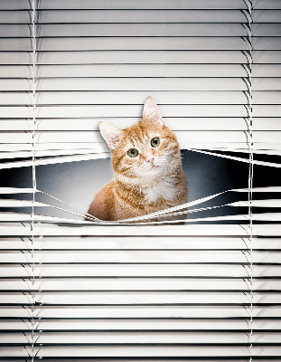 Store fenêtre intérieur chat roux