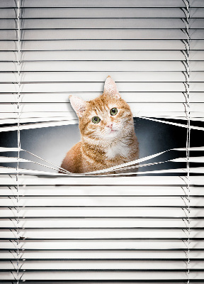 Store fenêtre intérieur chat roux