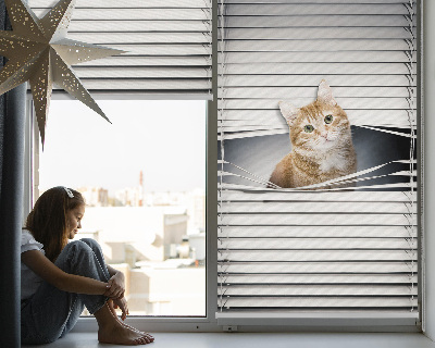 Store fenêtre intérieur chat roux