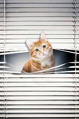 Store fenêtre intérieur chat roux