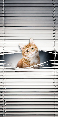 Store fenêtre intérieur chat roux