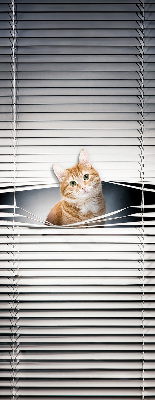 Store fenêtre intérieur chat roux