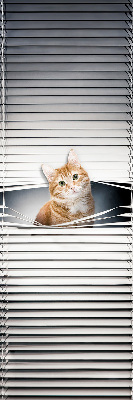 Store fenêtre intérieur chat roux