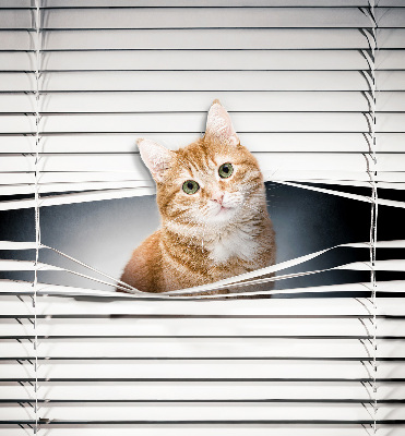 Store fenêtre intérieur chat roux
