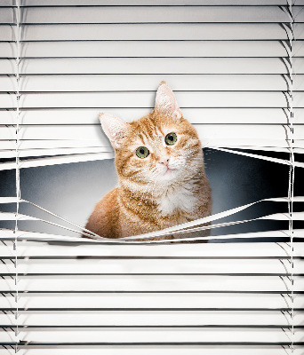 Store fenêtre intérieur chat roux