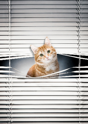 Store fenêtre intérieur chat roux