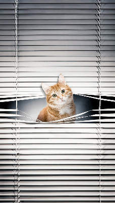 Store fenêtre intérieur chat roux