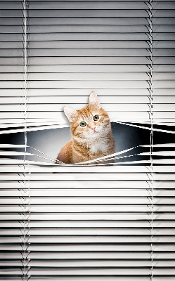 Store fenêtre intérieur chat roux