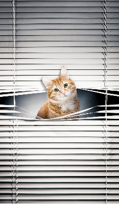 Store fenêtre intérieur chat roux