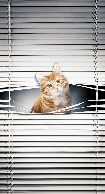 Store fenêtre intérieur chat roux