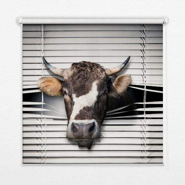 Store enrouleur occultant vache
