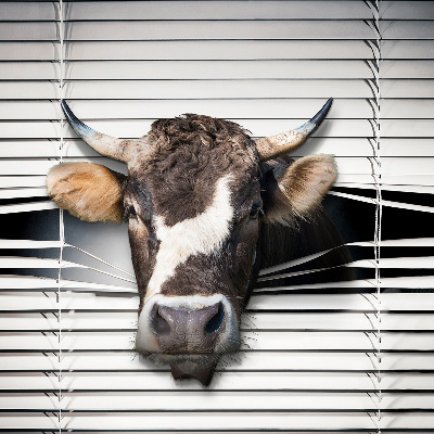 Store enrouleur occultant vache