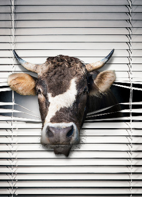 Store enrouleur occultant vache