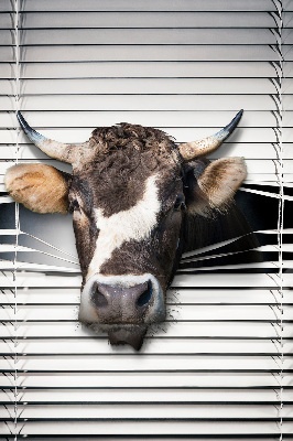Store enrouleur occultant vache