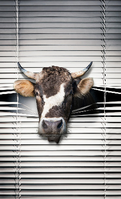 Store enrouleur occultant vache