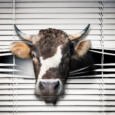 Store enrouleur occultant vache