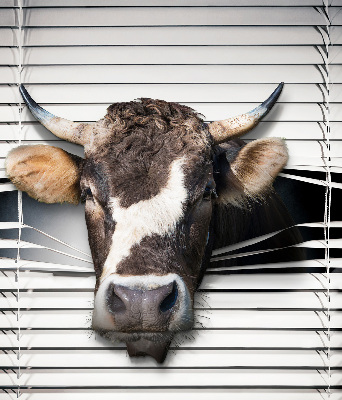 Store enrouleur occultant vache