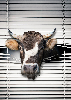 Store enrouleur occultant vache