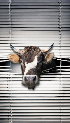 Store enrouleur occultant vache