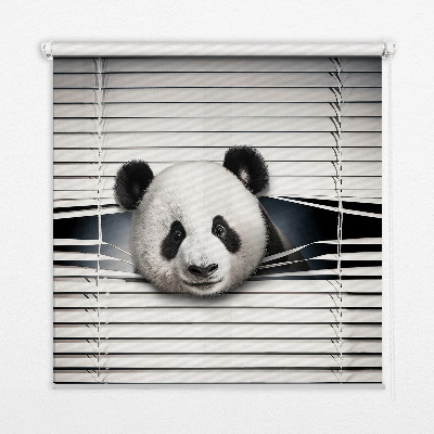 Store occultant fenêtre panda