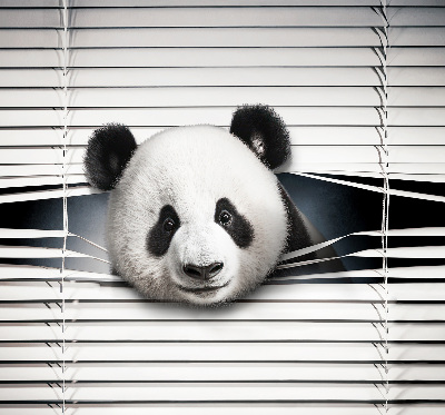 Store occultant fenêtre panda