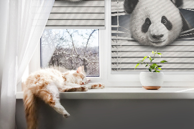 Store occultant fenêtre panda