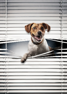 Chien pour fenêtre intérieure