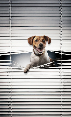 Chien pour fenêtre intérieure