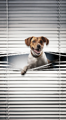 Chien pour fenêtre intérieure