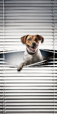 Chien pour fenêtre intérieure