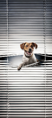 Chien pour fenêtre intérieure
