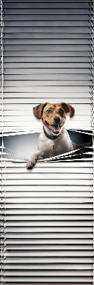 Chien pour fenêtre intérieure
