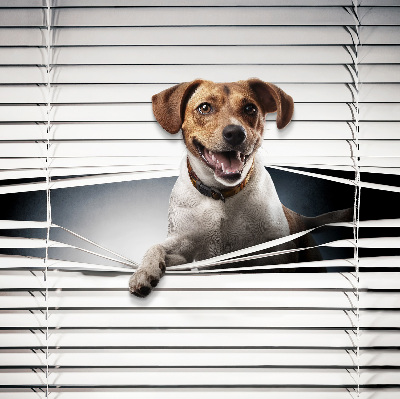 Chien pour fenêtre intérieure