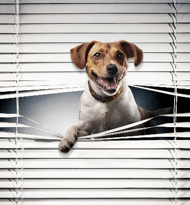 Chien pour fenêtre intérieure