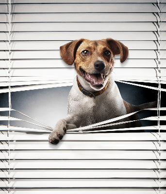 Chien pour fenêtre intérieure