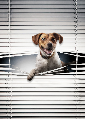 Chien pour fenêtre intérieure