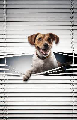Chien pour fenêtre intérieure