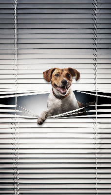 Chien pour fenêtre intérieure