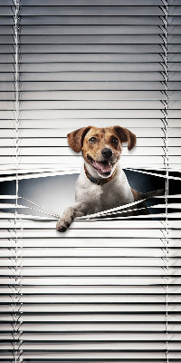 Chien pour fenêtre intérieure