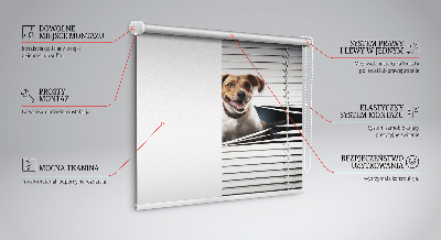 Chien pour fenêtre intérieure