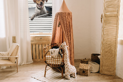 Chien pour fenêtre intérieure