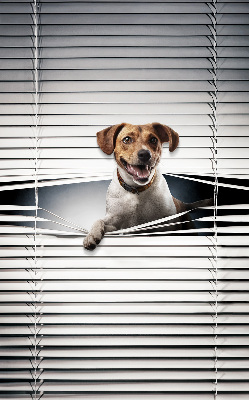 Chien pour fenêtre intérieure