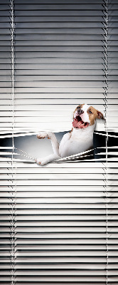 Store enrouleur occultant chien
