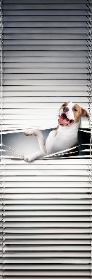 Store enrouleur occultant chien