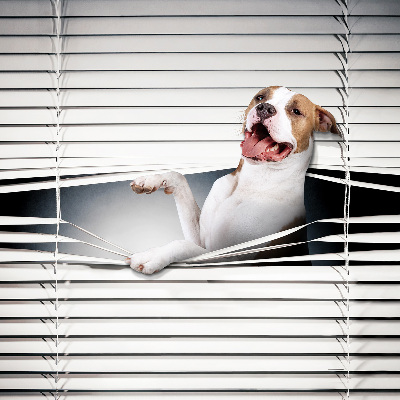 Store enrouleur occultant chien
