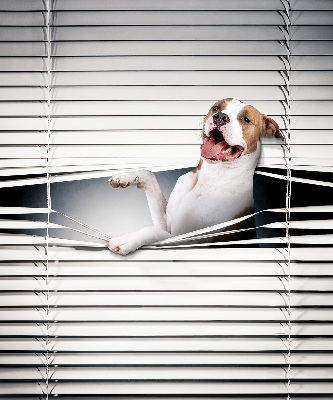Store enrouleur occultant chien