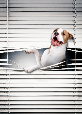 Store enrouleur occultant chien