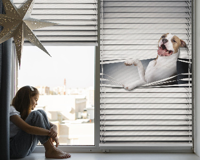 Store enrouleur occultant chien